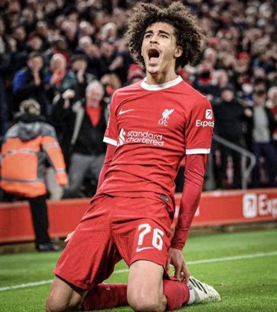 那不勒斯战平曼联,范戴克扑点救主法甲的简单介绍 那不勒斯战平曼联,范戴克扑点救主法甲的简单介绍