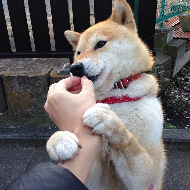 欧洲新王与上古神迹，当克瓦拉茨赫利亚的爆发照亮唯一的黑马之路